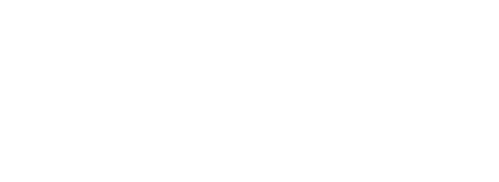 לוגו - DGO